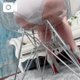 おはようございます(^^)