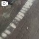 てくてく、