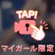 社会の窓