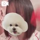 ねる前