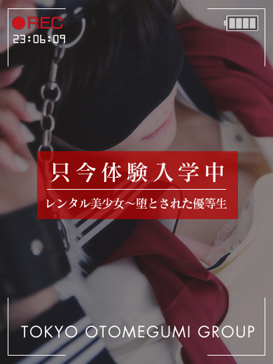 電影美少女～ videogirl ～ hotel escort service parlor CHINO