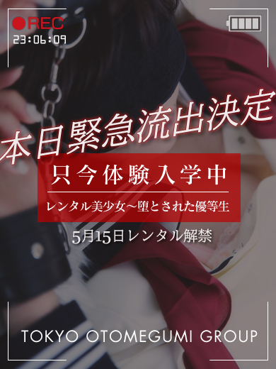 電影美少女～ videogirl ～ hotel escort service parlor MIHIRO