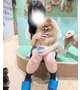 向かってます〜〜