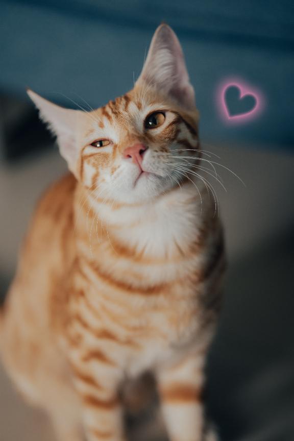 ♡