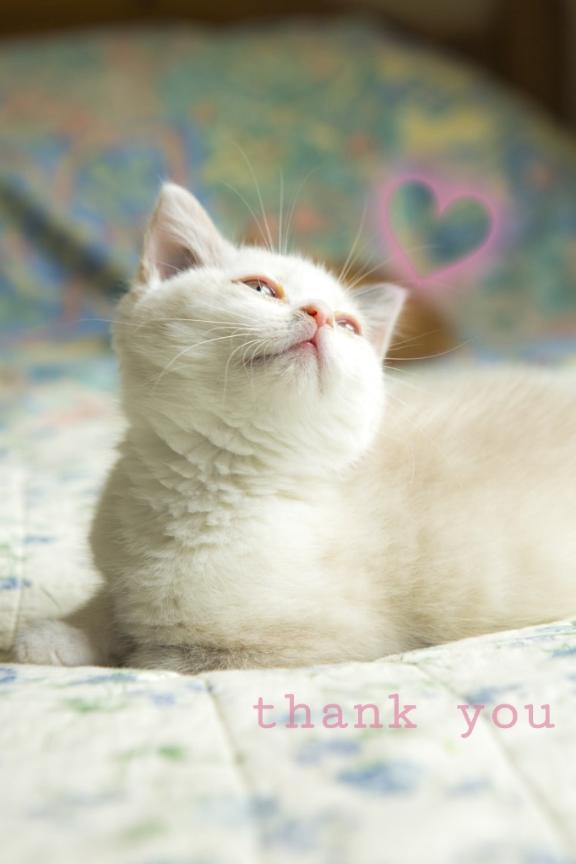 ♡