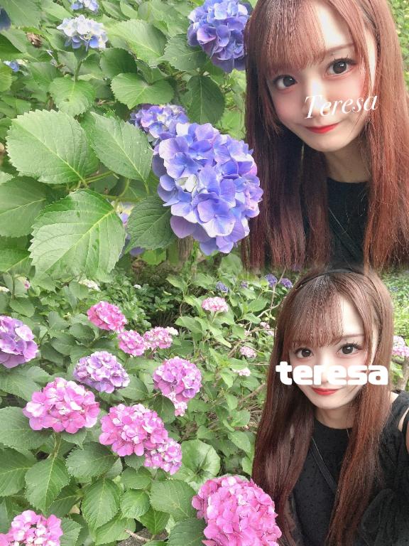 あじさい💠🌿 ܸ