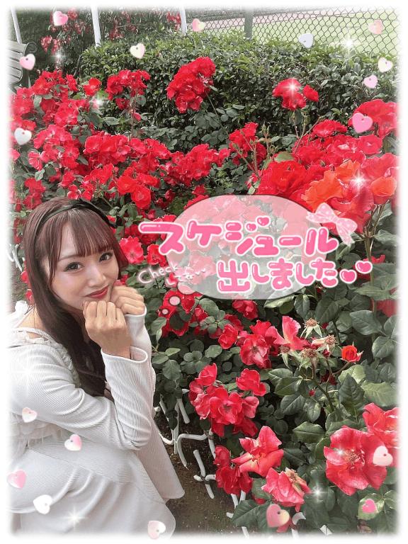 🐼ྀི🗓来週てれさに会える日♥️
