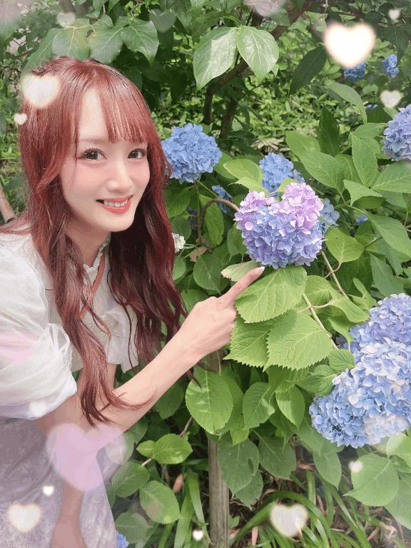 🐼ྀི紫陽花♡
