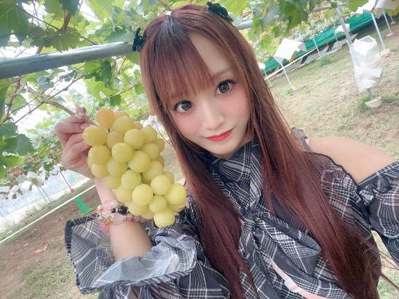🍇( '-' 🍇)ﾌﾞﾄﾞｳﾁｬﾝ