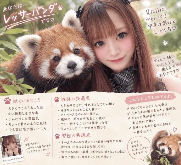 🐼ྀིてれっさーぱんだ´●.̫●`