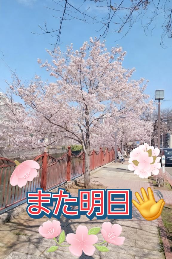 お先に.ᐟ .ᐟ🐸❤️