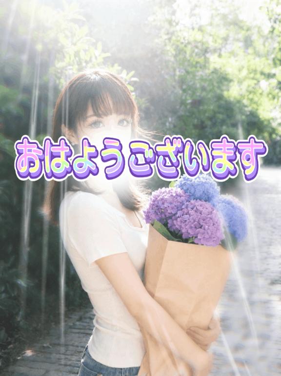 本日おやすみのお知らせ💧
