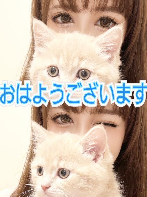 出勤です❣️