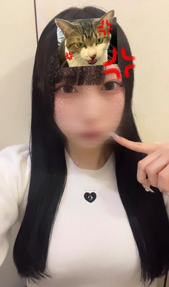 朝まで😽