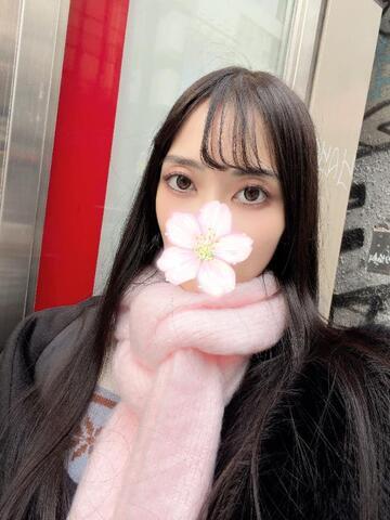 おはようございます🌸