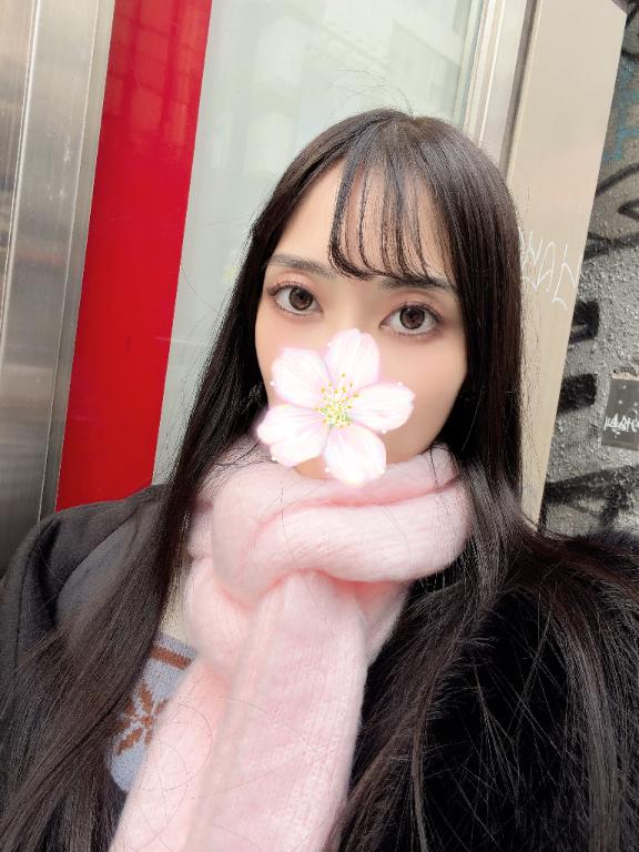 おはようございます🌸