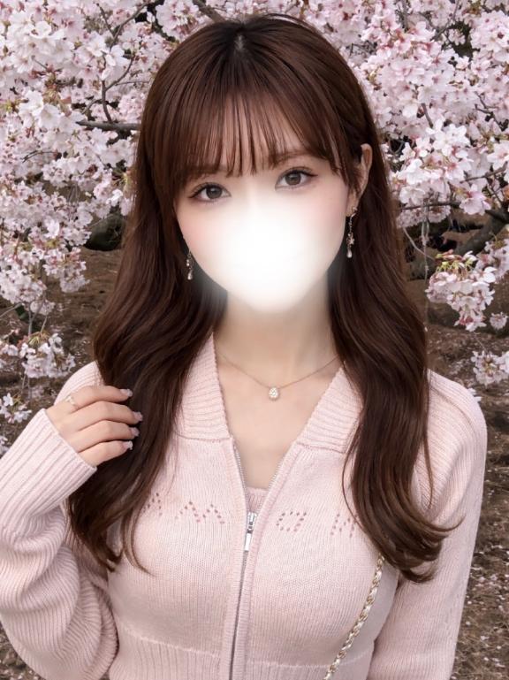 取扱説明書🎀