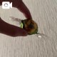 あったっけ？