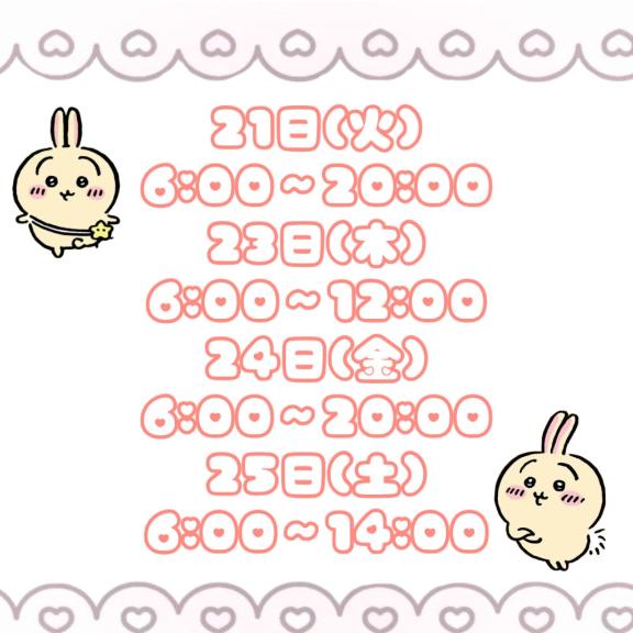 会える日🐱
