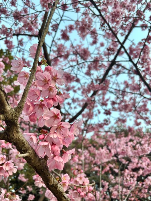 ご縁を感じて..🫧🌸