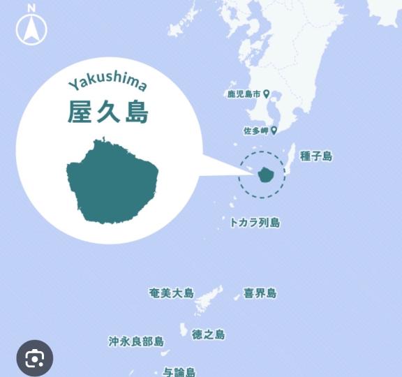 お礼💌