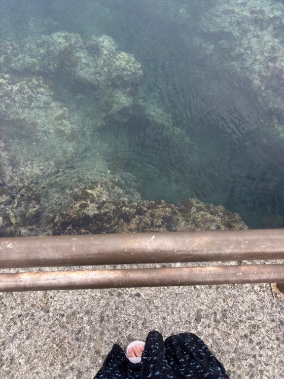 旅の途中で🚢✨