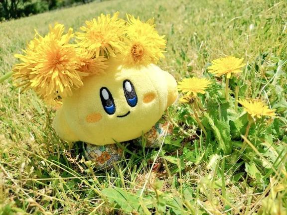 今日もありがとうございます^_^