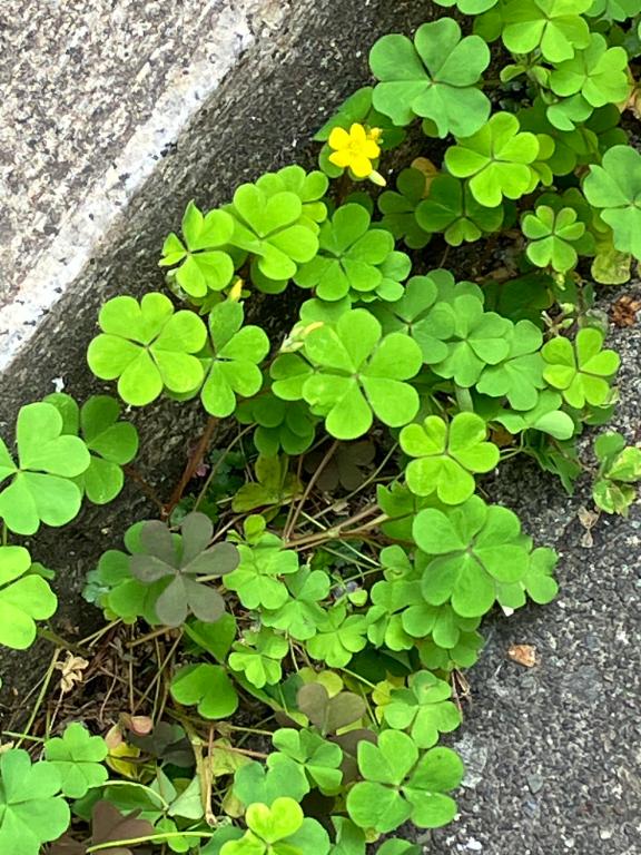ご無沙汰しております