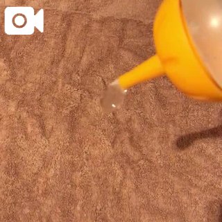 動画💗