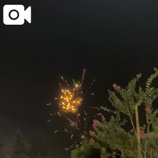 夏らしい‼️