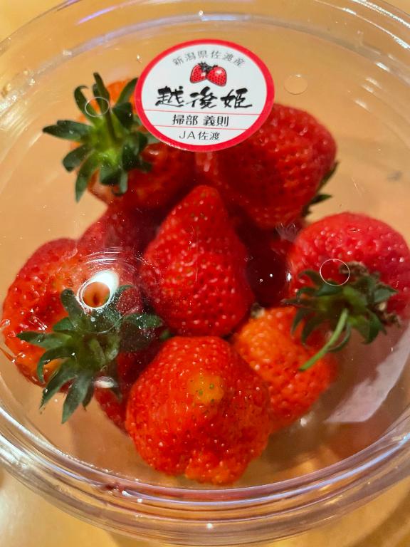 出勤＼(^o^)／