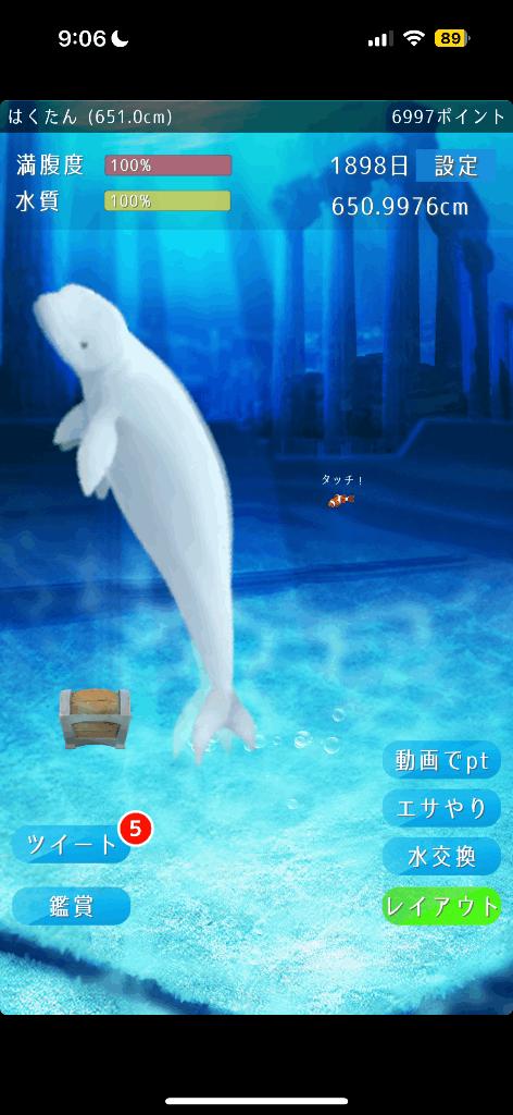 写メ日記サムネイル