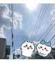 今日暑いらしい❓☀️✨️