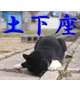 🤏🏻🌳さまへ