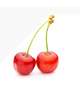 出勤🍒