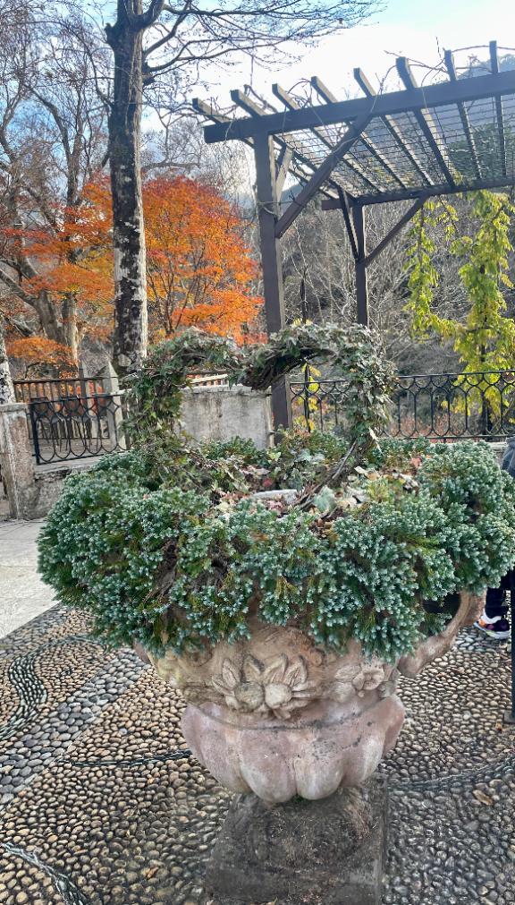 [お題]from:さよりさん