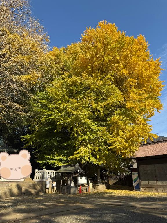 こころ穏やかに