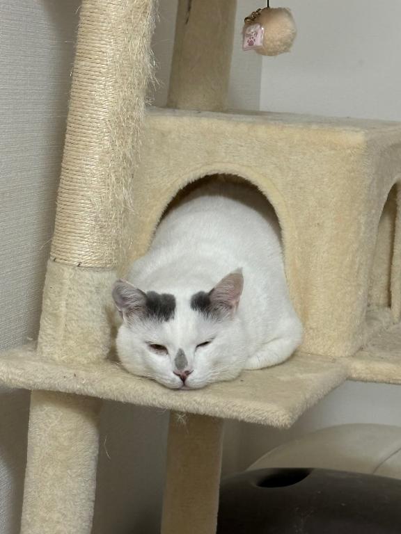 念の為お休みです🙇‍♀️