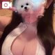 5月病対策🐰🤍