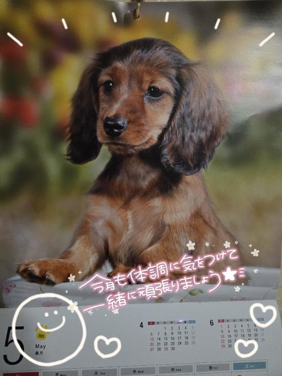 写メ日記サムネイル