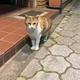 よく聞かれる名前 の由来について🐈‍⬛