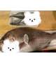 魚
