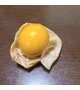 お休みです
