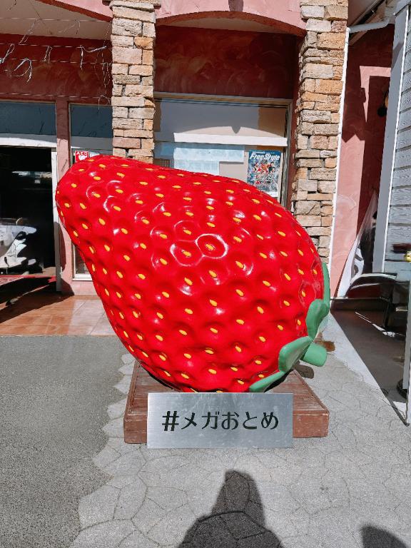 🈵本日貸切🈵