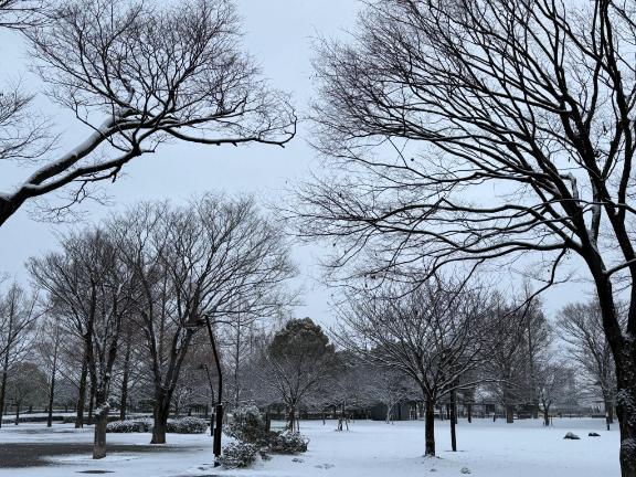 すごーい！！！☃️❄️