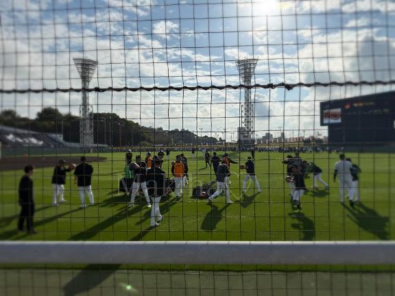 ちばりよー🌴🌺✈🍍⚾️