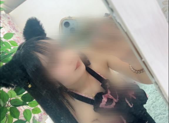 なめ猫🐈⸒⸒⸒⸒