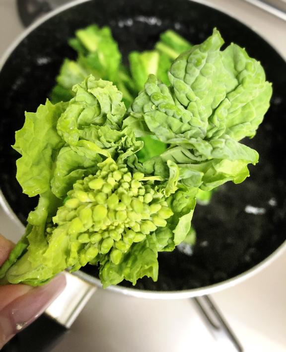 春の訪れ🌱‬‪