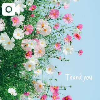 ツボにハマる💟