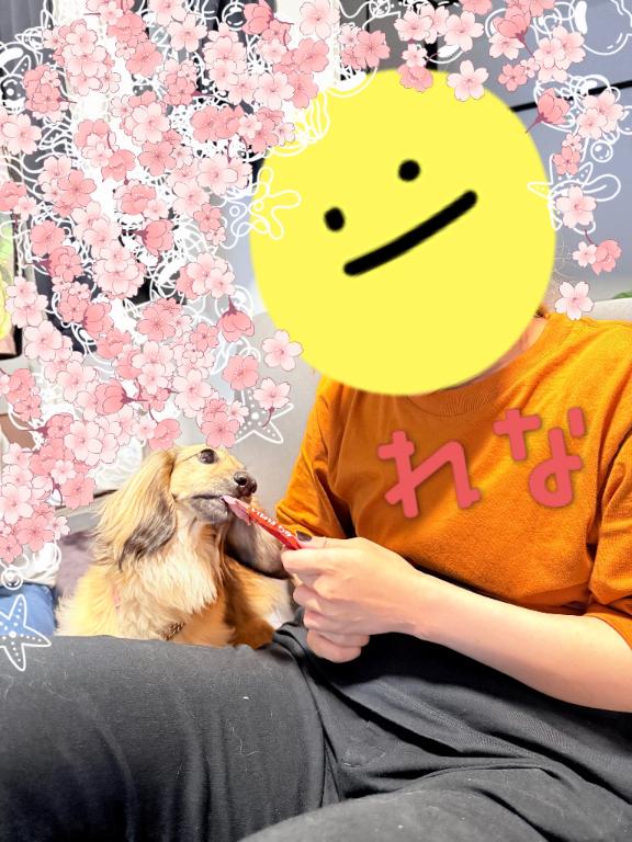 出勤しました♡